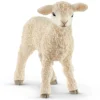 Agneau