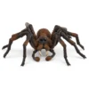 Aragog