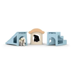 Aventure amusante pour les chiots
