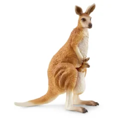 Aventure Dans L’Outback