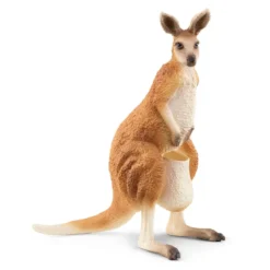 Aventure Dans L’Outback