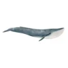 Baleine bleue