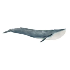 Baleine bleue