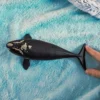 Baleine de l'Atlantique