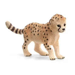 Bébé Guépard