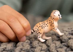 Bébé Guépard