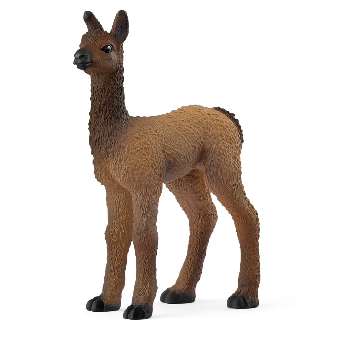 Bébé Lama