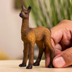 Bébé Lama