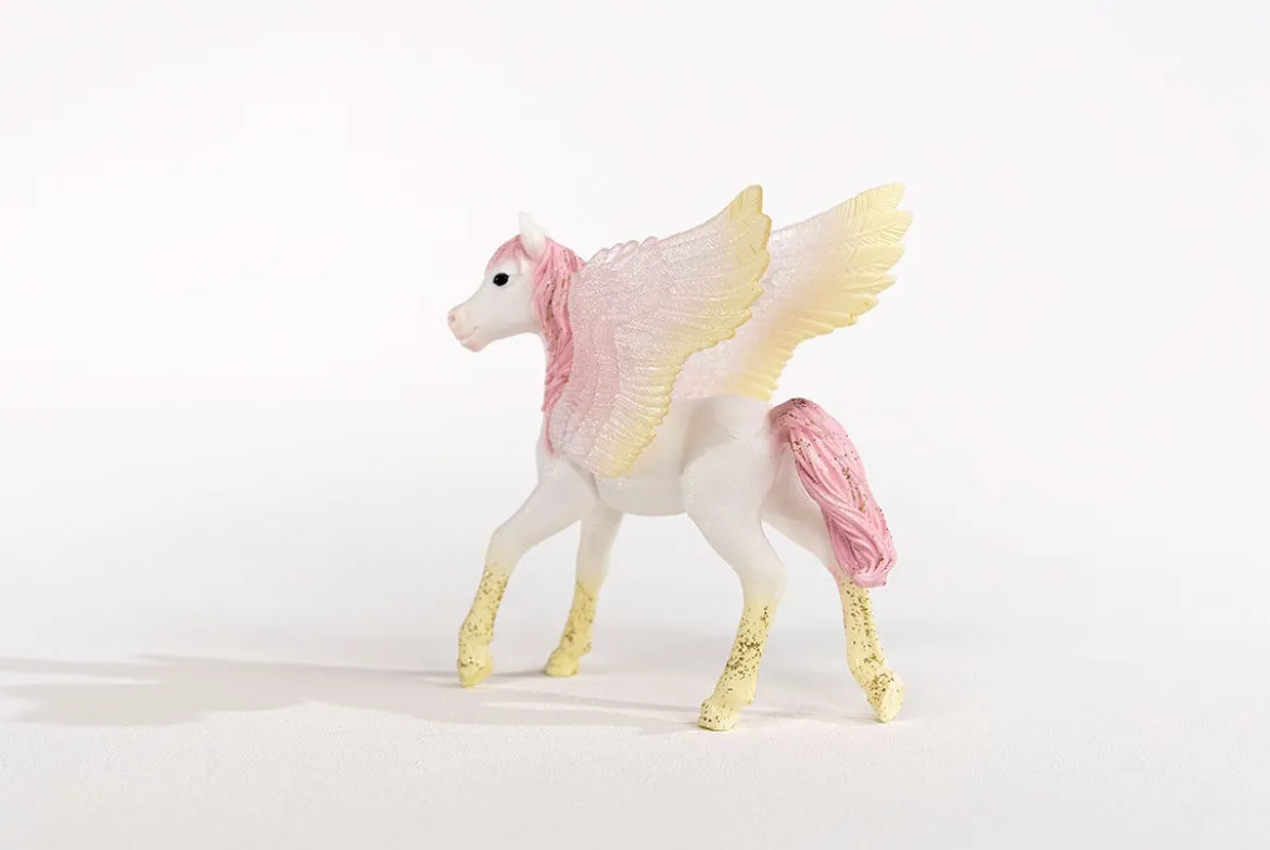 Bébé Pégase