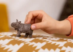 Bébé Rhinocéros Indien