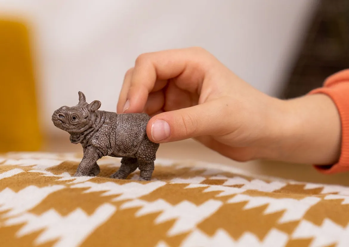 Bébé Rhinocéros Indien