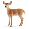 Biche de Virginie