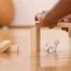 Bichon Frisé