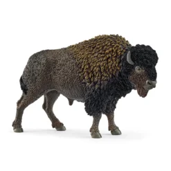 Bison