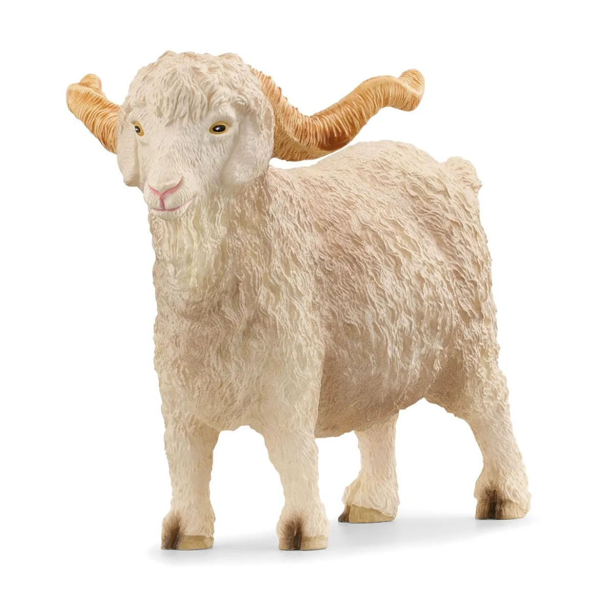 Bouc Angora