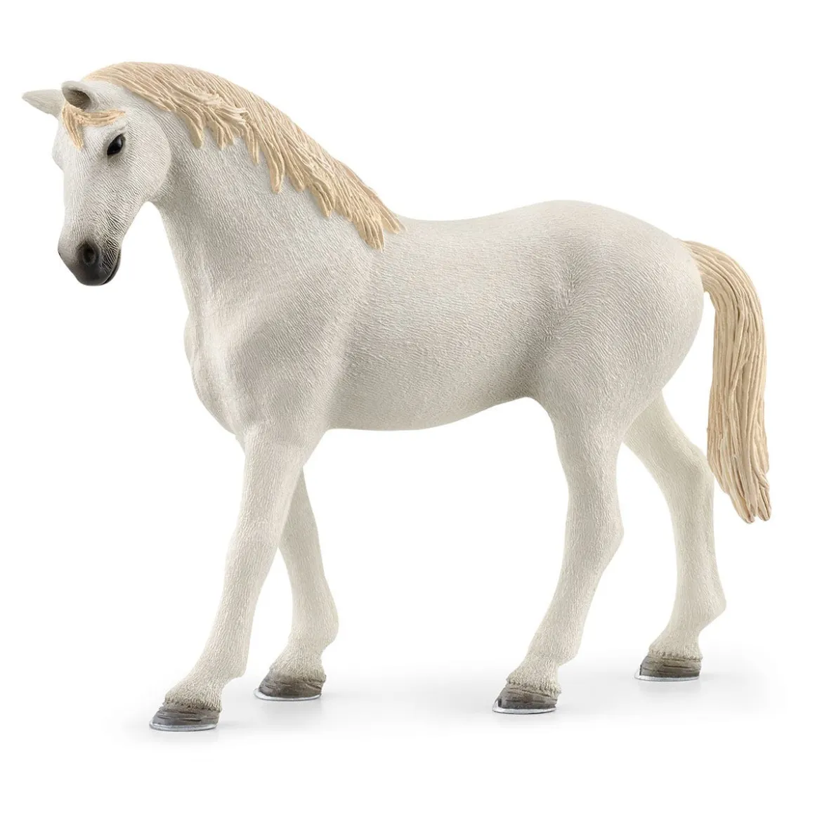 Box À Cheval