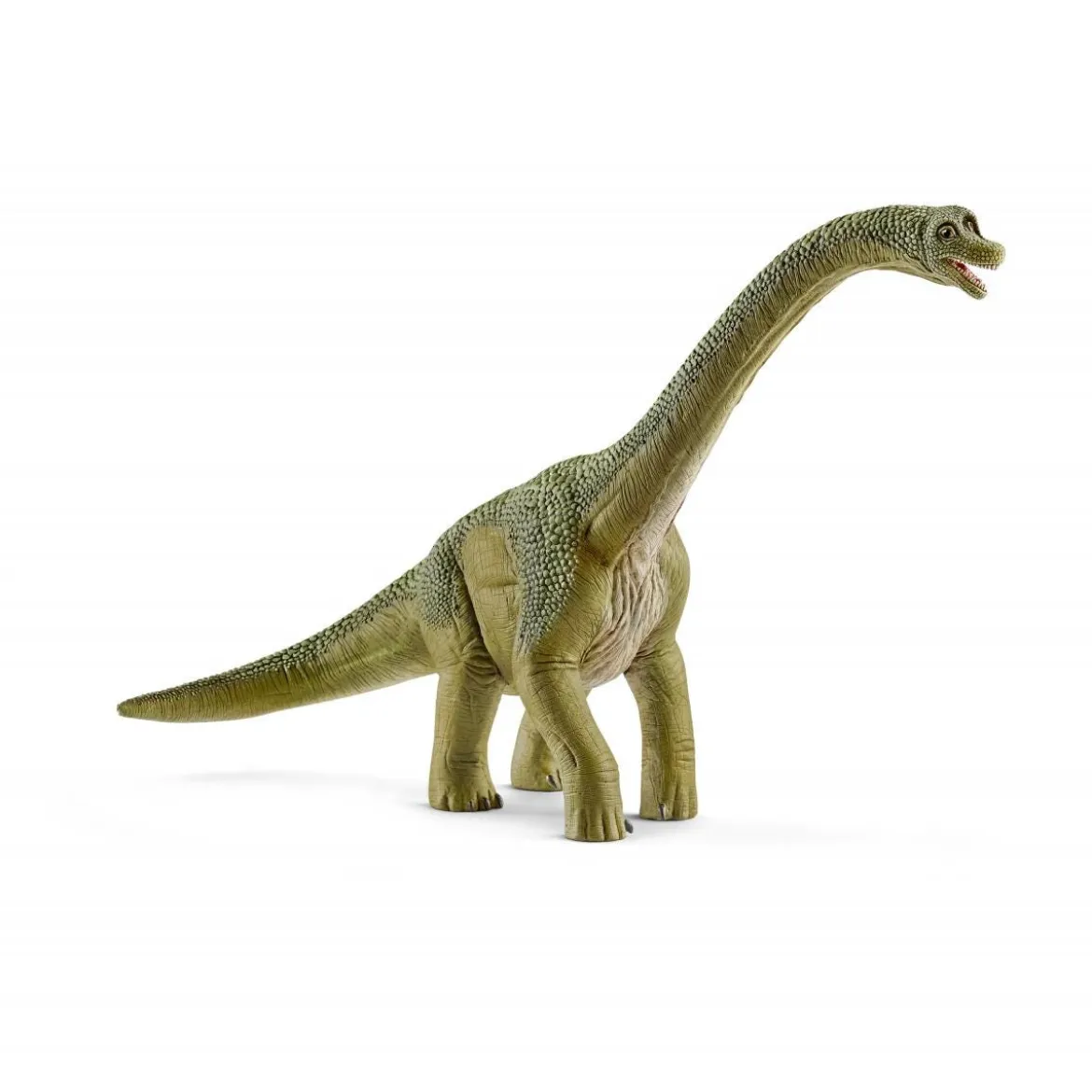 Brachiosaure