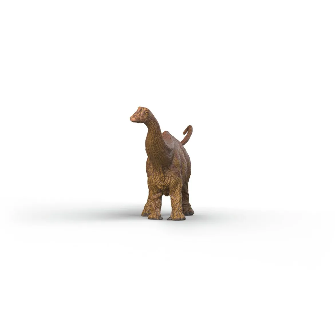 Brontosaurus