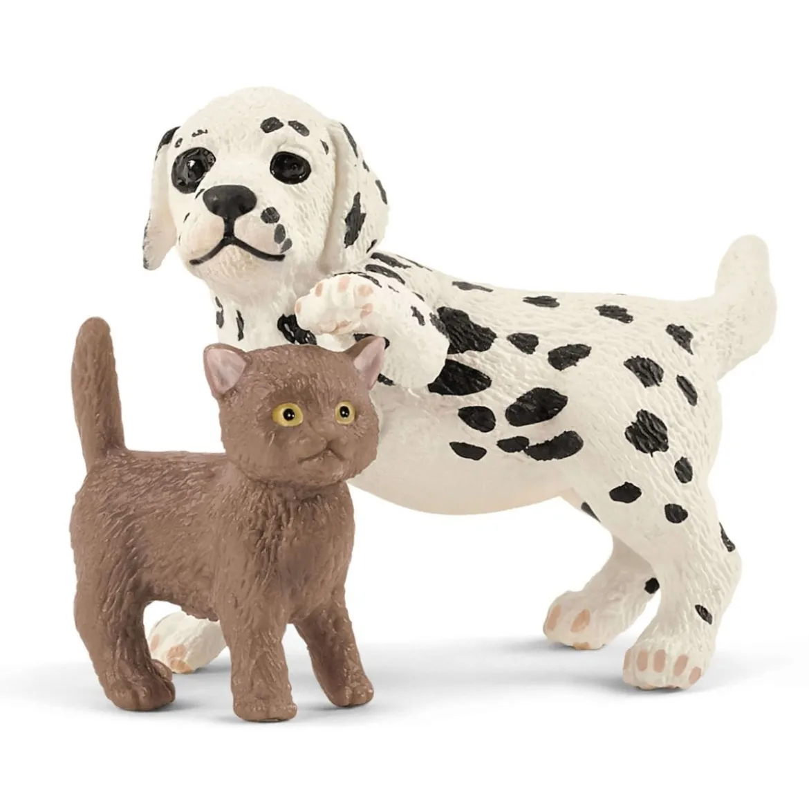 Cabinet vétérinaire avec animaux