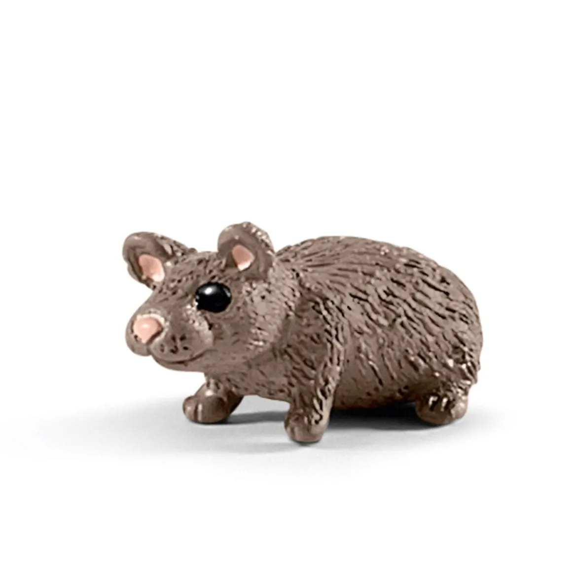 Cabinet vétérinaire avec animaux