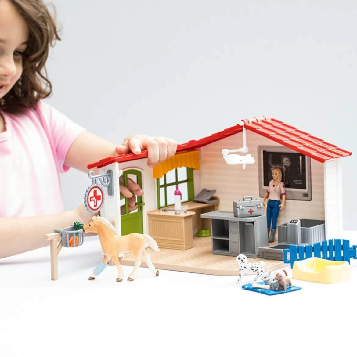 Cabinet vétérinaire avec animaux