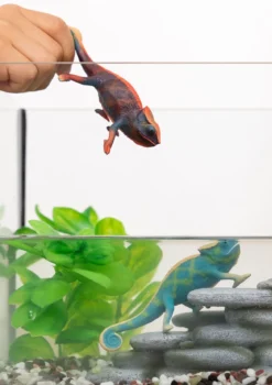 Caméléon