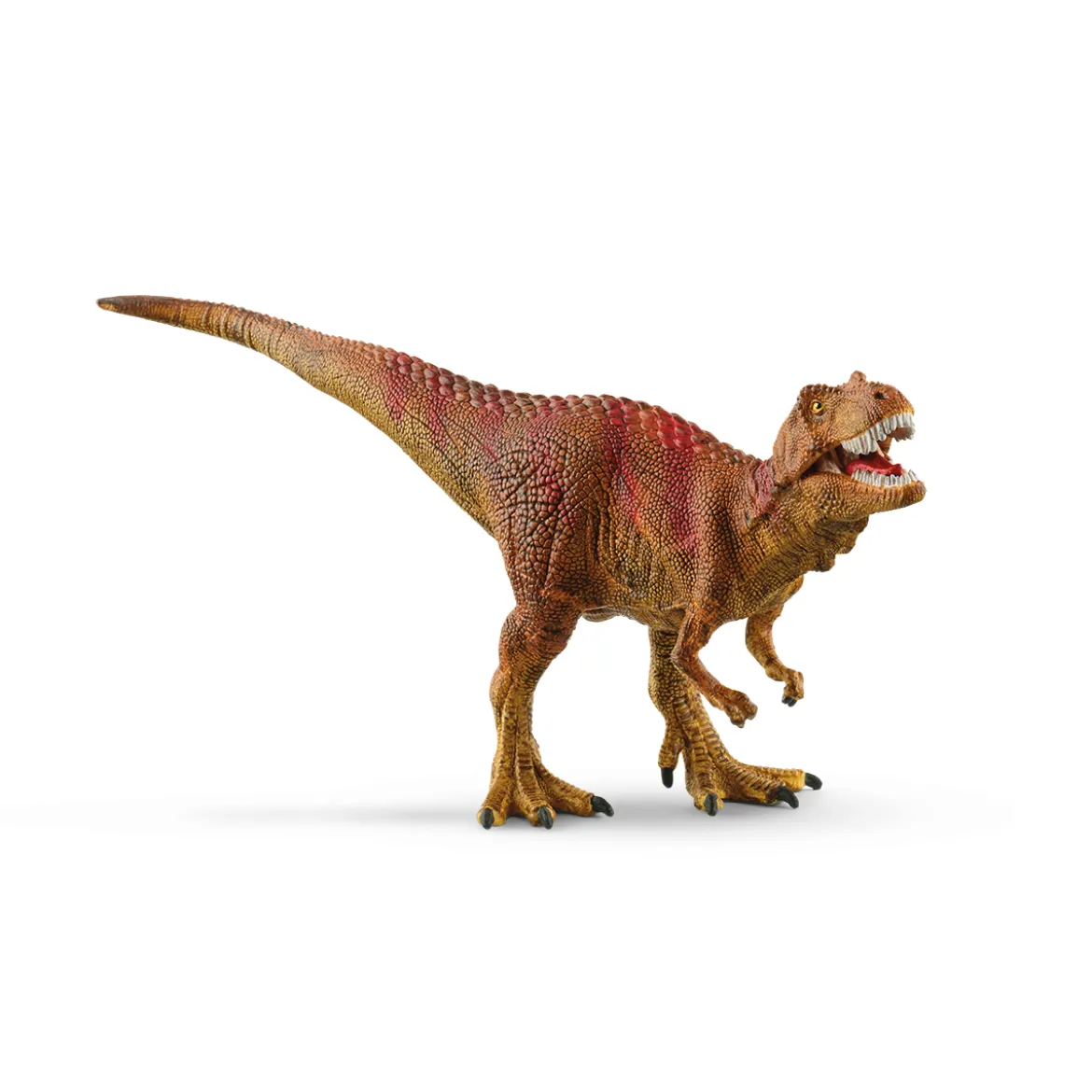 Capture des dinosaures