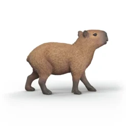 Capybara