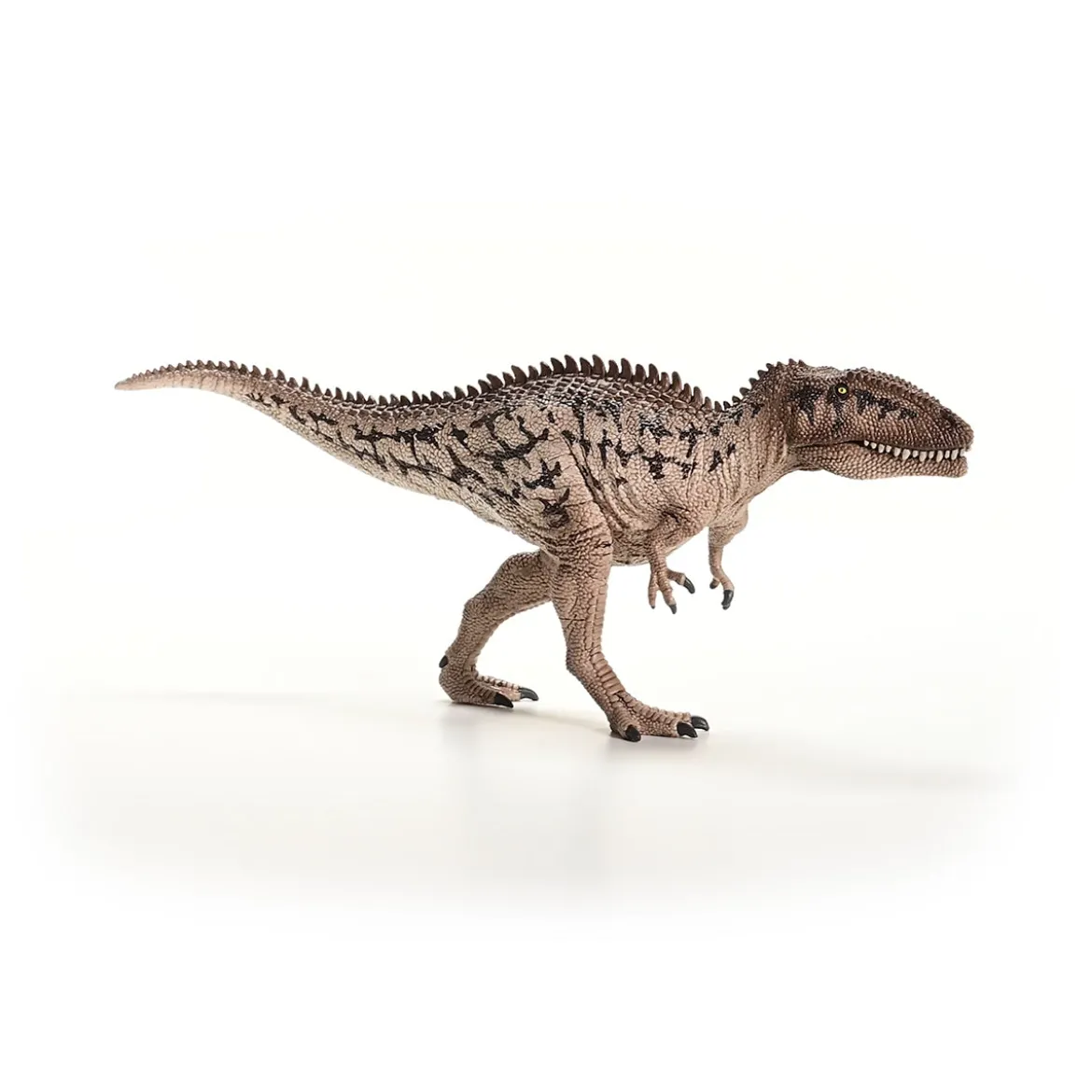 Carcharodontosaurus