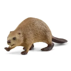 Castor
