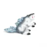 Castor des glaces