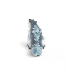 Castor des glaces