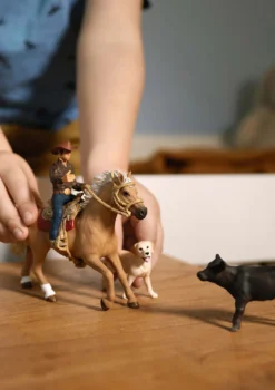 Cavalier Western
