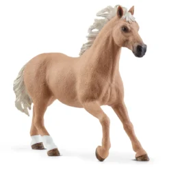 Cavalier Western