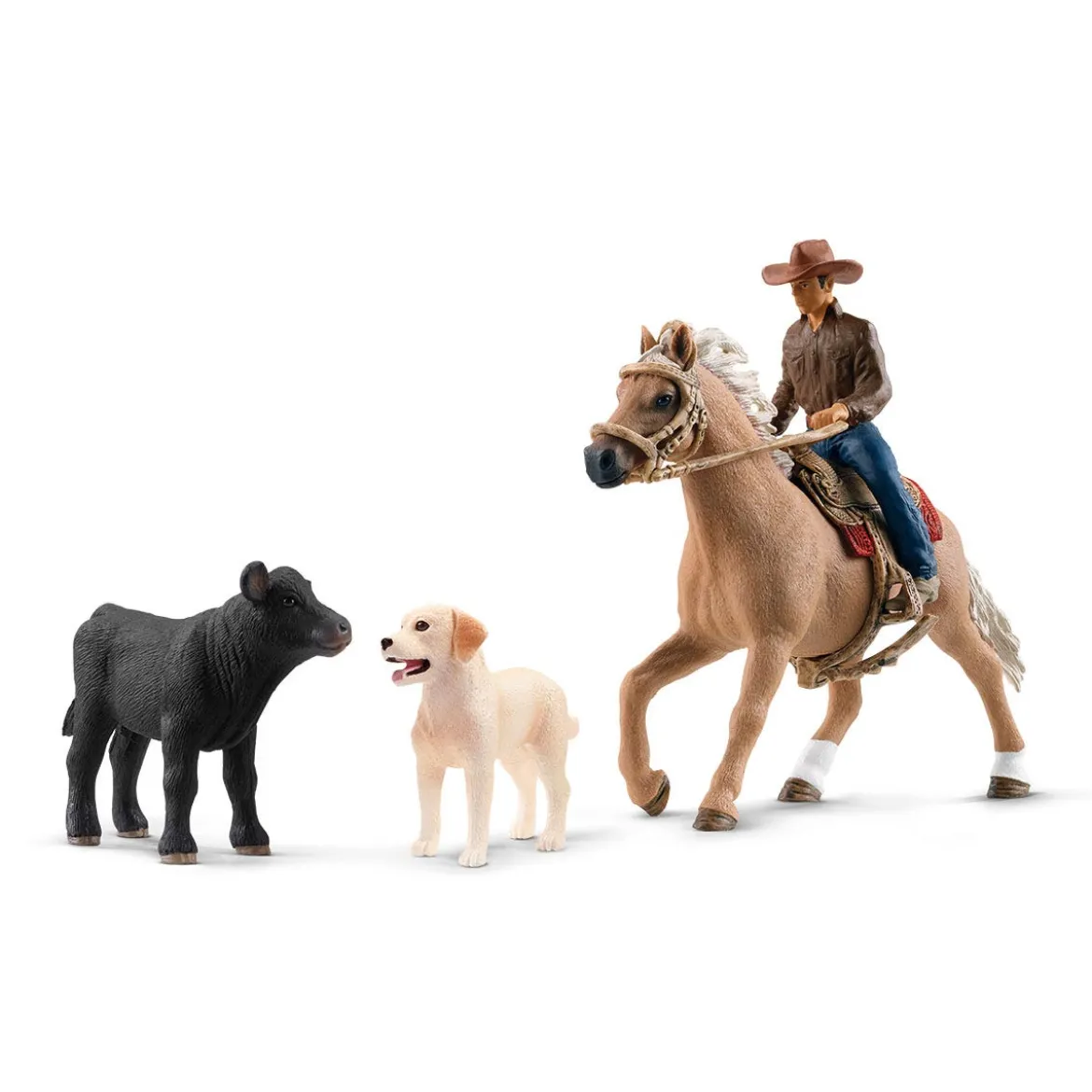 Cavalier Western