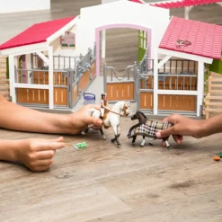 Centre équestre avec cavalière, chevaux et accessoires