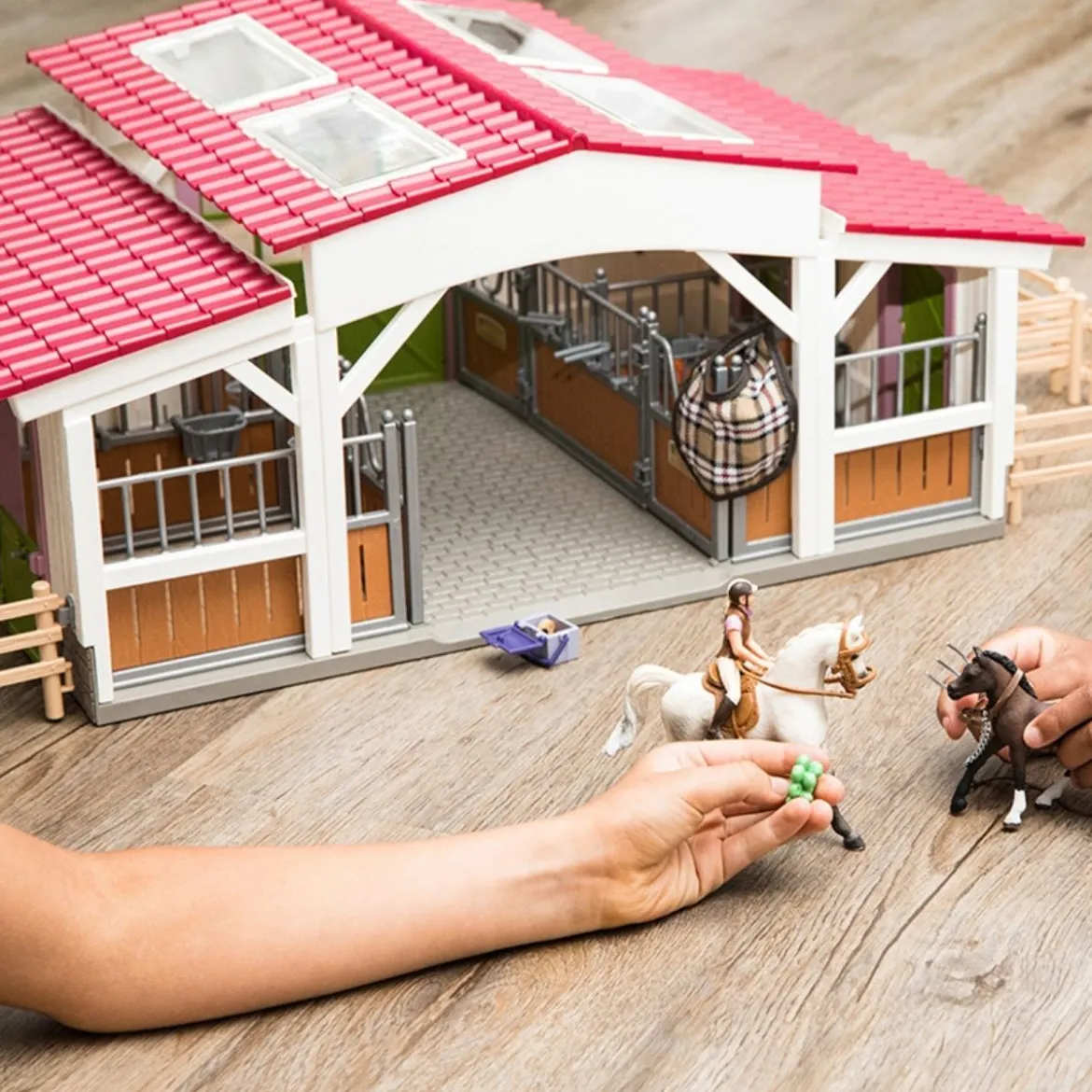 Centre équestre avec cavalière, chevaux et accessoires