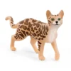 Chat Bengal