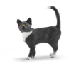 Chat debout (Bundle)