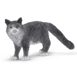 Chat Maine Coon
