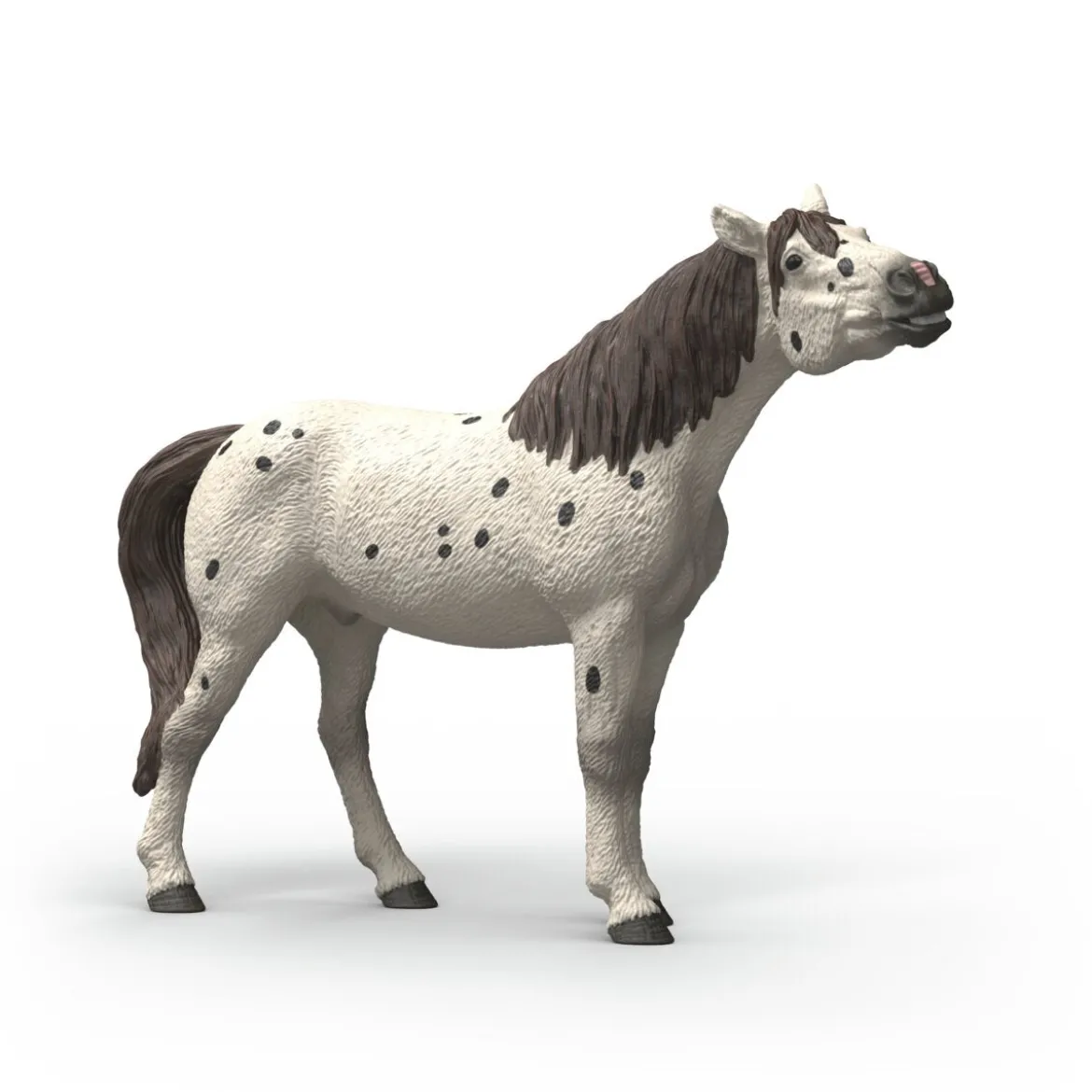 Cheval hongre knabstrupper