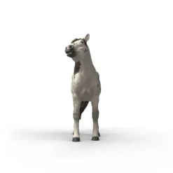 Cheval hongre knabstrupper