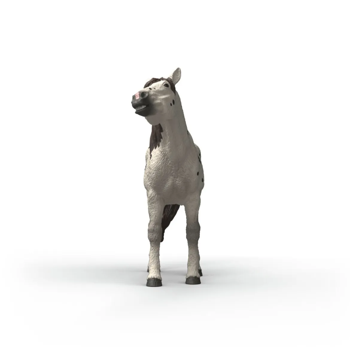 Cheval hongre knabstrupper