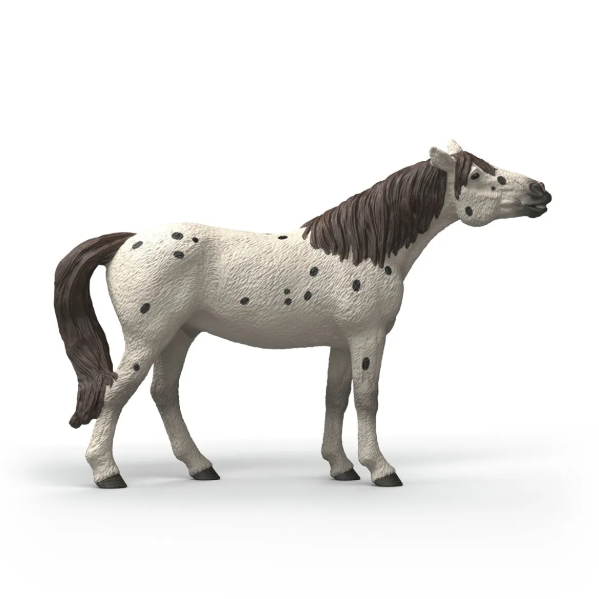 Cheval hongre knabstrupper