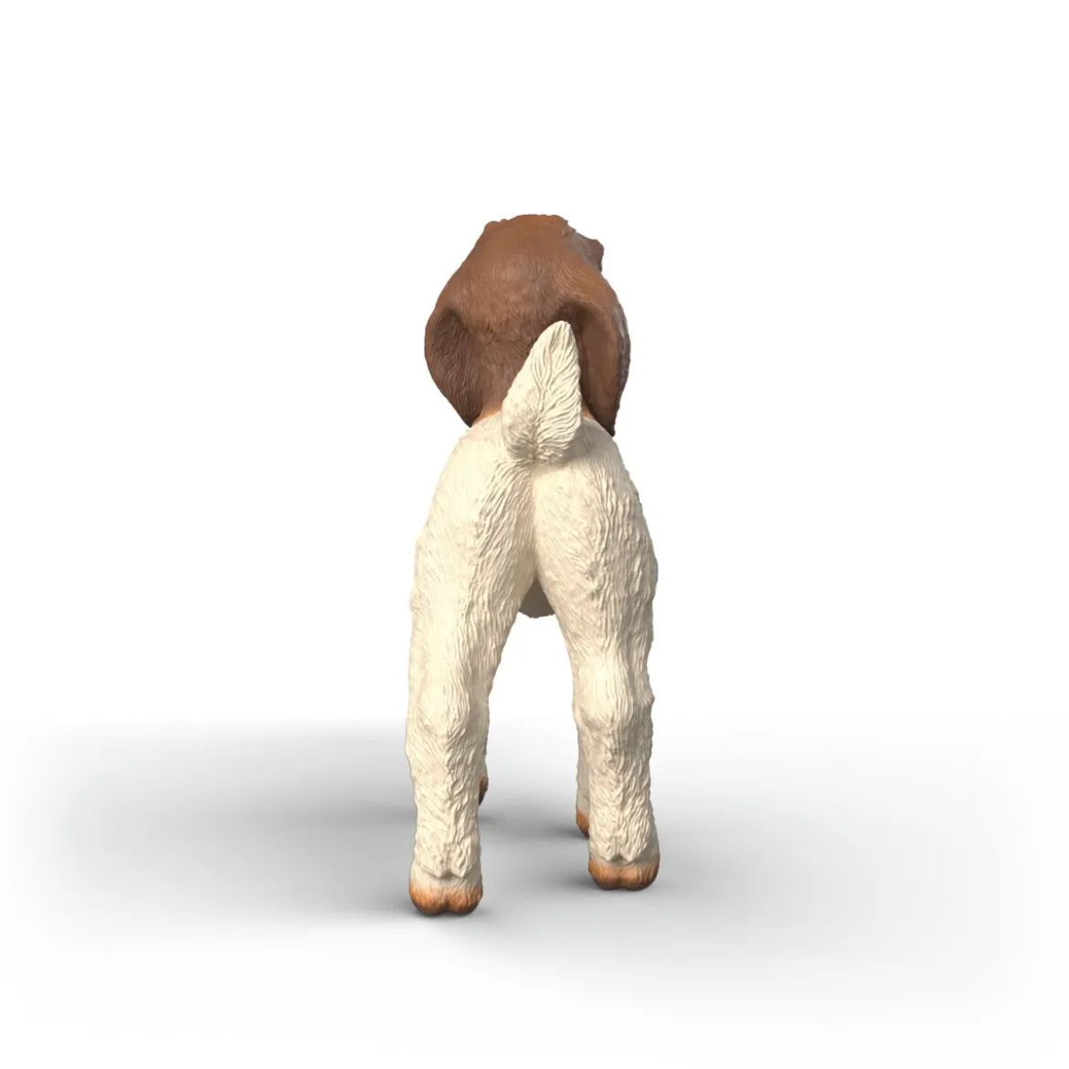 Chevreau Boer