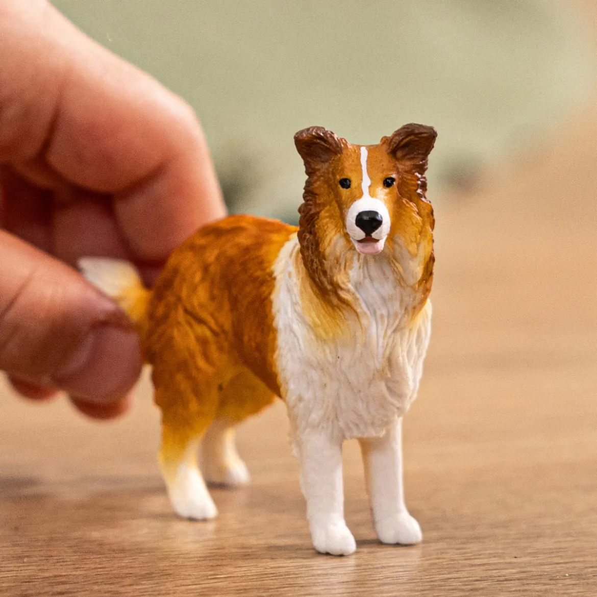 Chien Colley