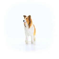 Chien Colley
