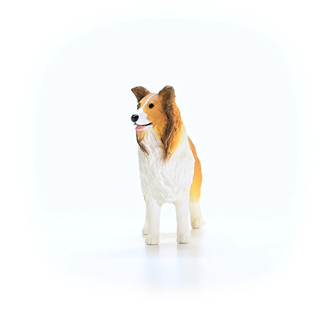 Chien Colley