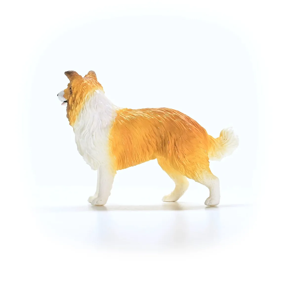 Chien Colley