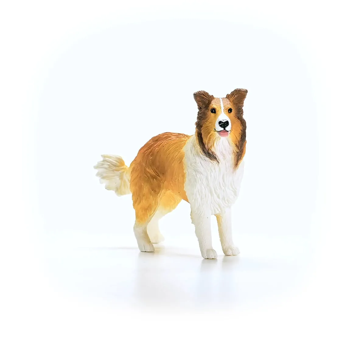 Chien Colley